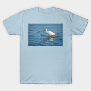 White Ibis Foraging In the Wetlands T-Shirt